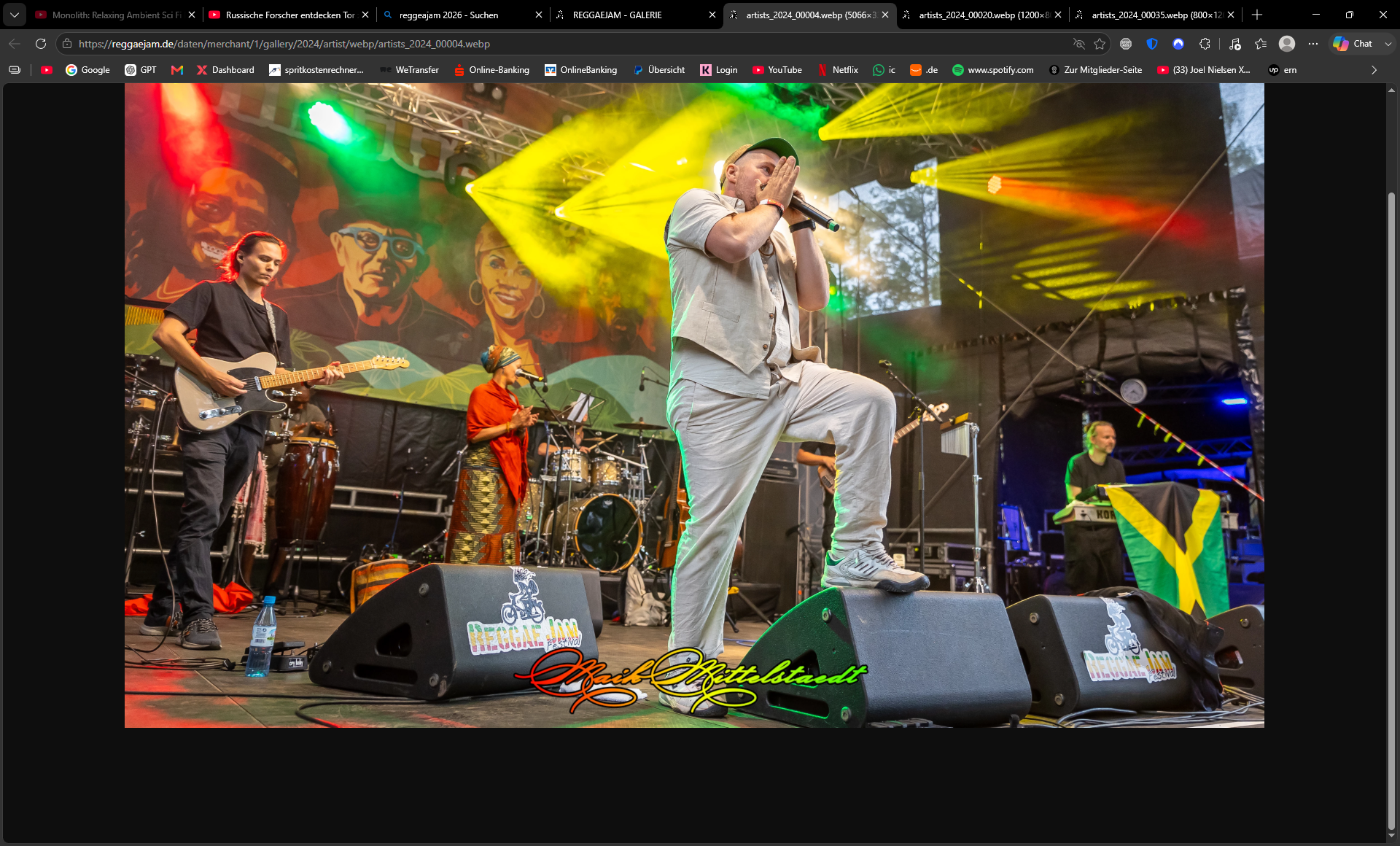 Reggae Jam Festival